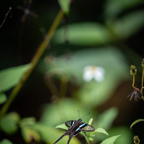 Photo #9347565