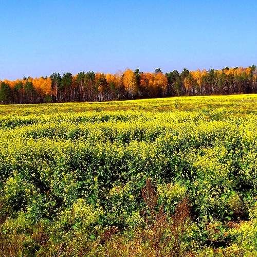 Photo #9347773