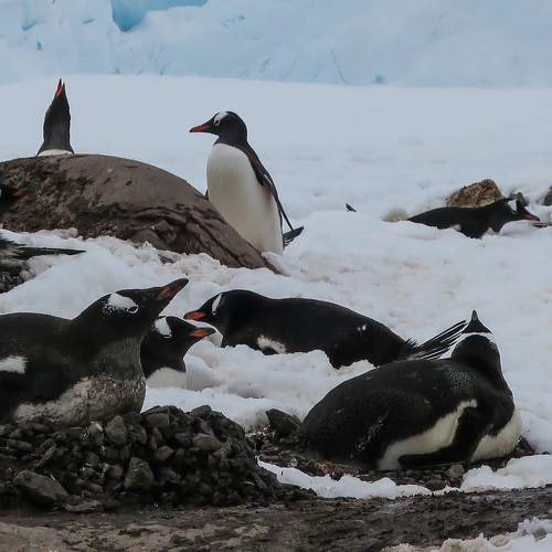 Photo #9348232