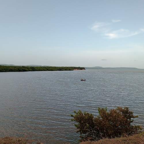 Photo #9348370