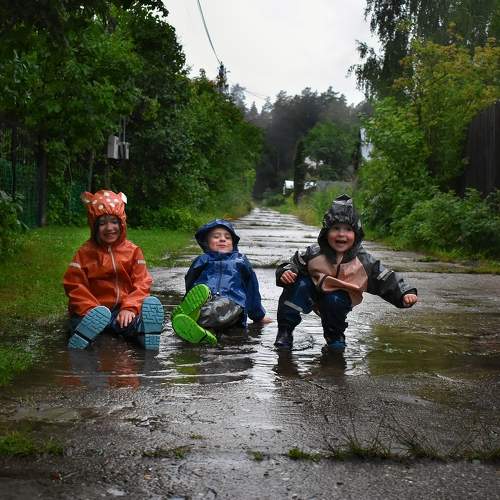 Photo #9348434