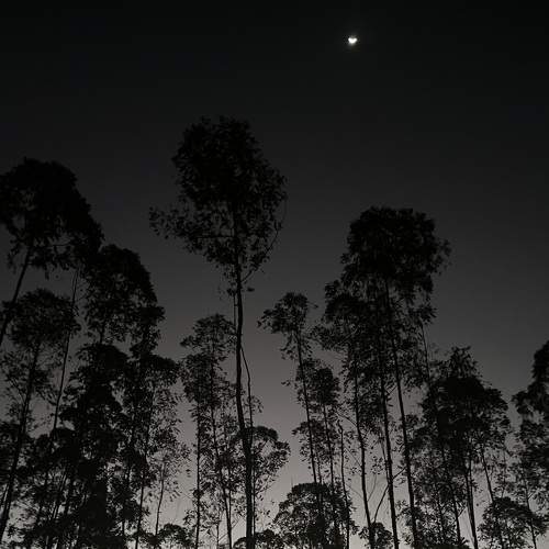 Photo #9348545