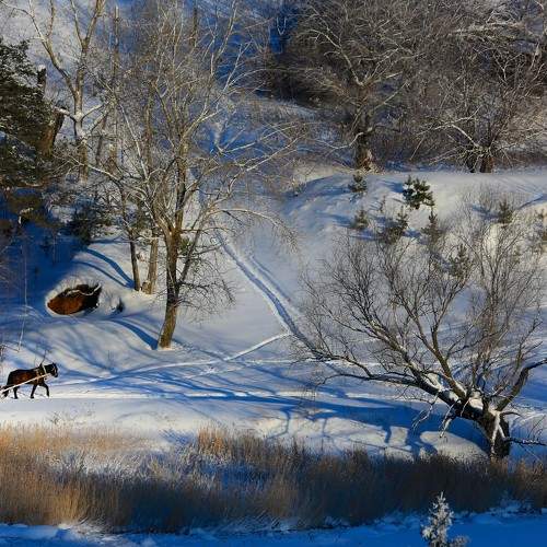 Photo #9348810