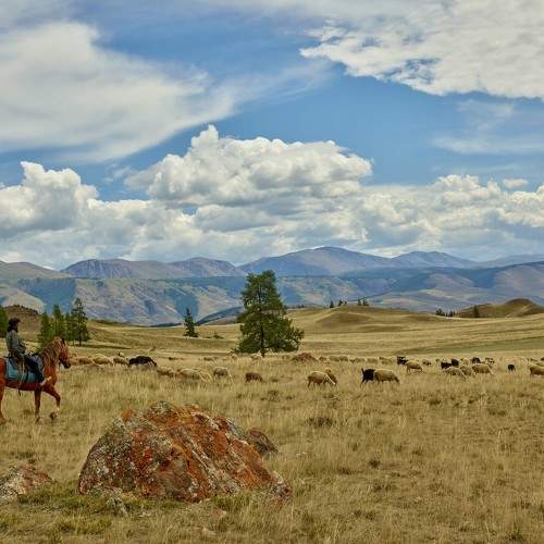 Photo #9348812