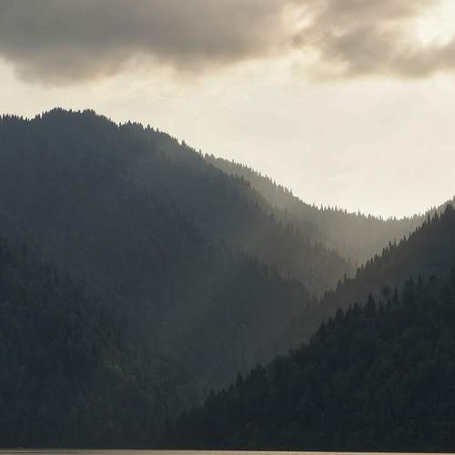 Photo #9348922
