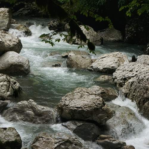 Photo #9348927