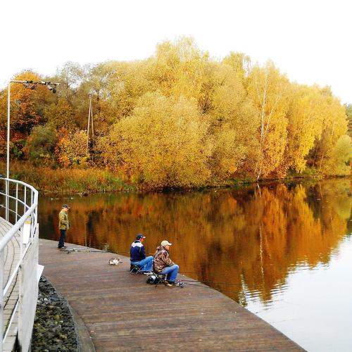 Photo #9348993