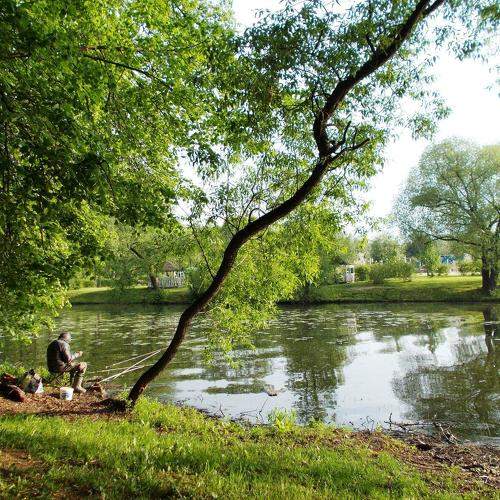 Photo #9348996