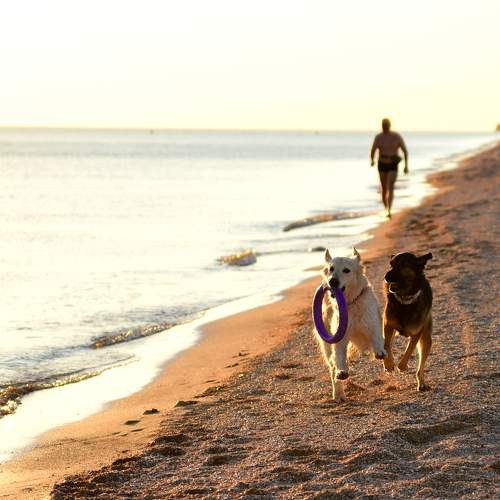Photo #9349077