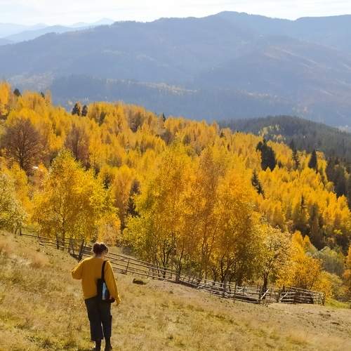 Photo #9349701