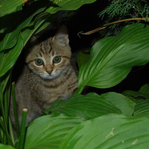 Photo #9349740