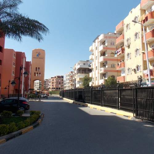 Photo #9349799