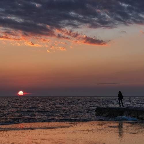 Photo #9350016