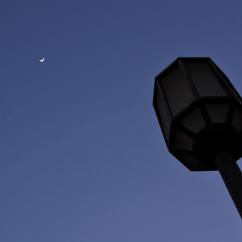 Photo #9350050