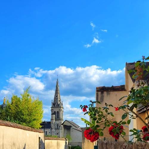 Photo #9350447