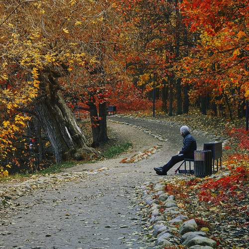 Photo #9350528