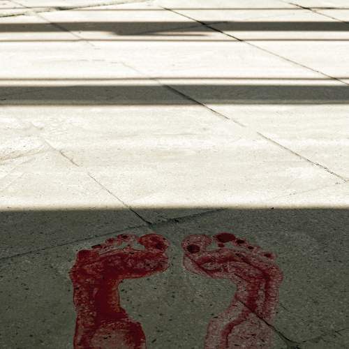 Photo #9351789