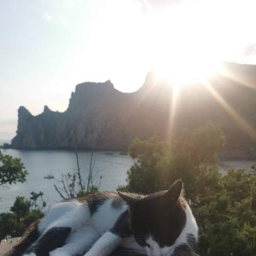 Photo #9352031