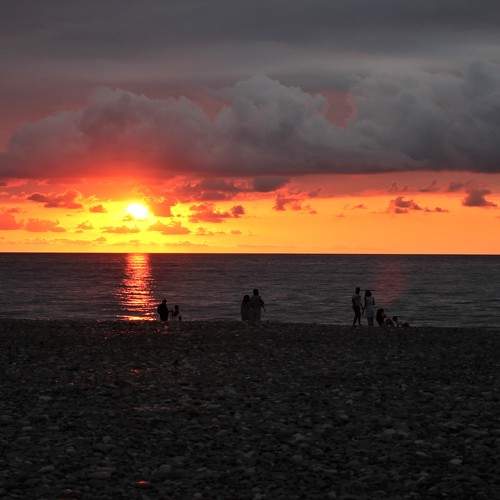 Photo #9352241