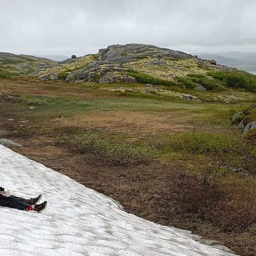 Photo #9353043