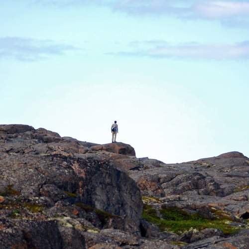 Photo #9353057