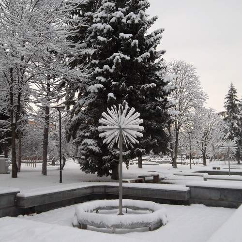 Photo #9353094