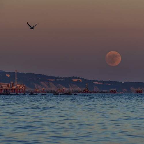 Photo #9353234