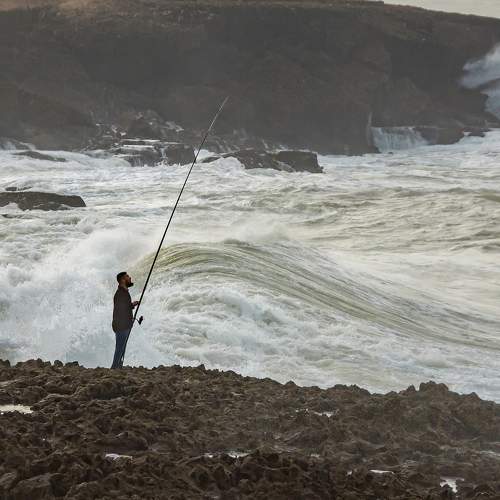 Photo #9353296
