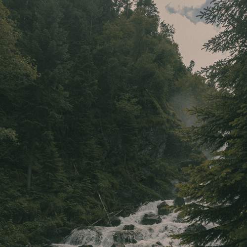 Photo #9353316