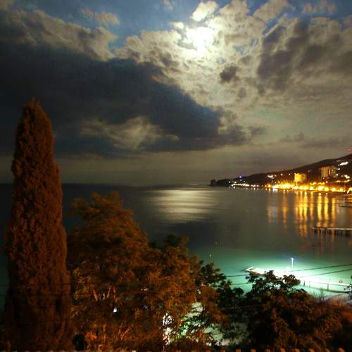 Photo #9353609