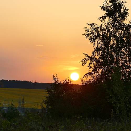 Photo #9354122