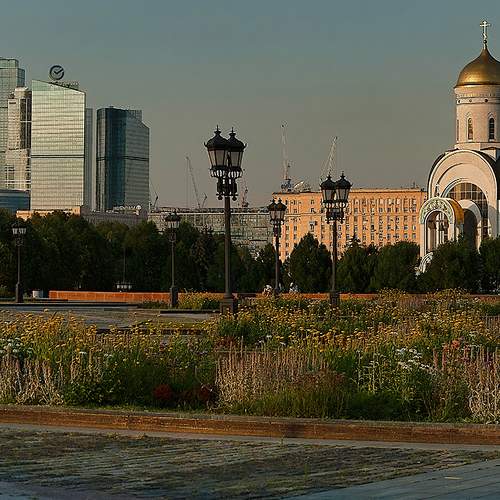 Photo #9354516