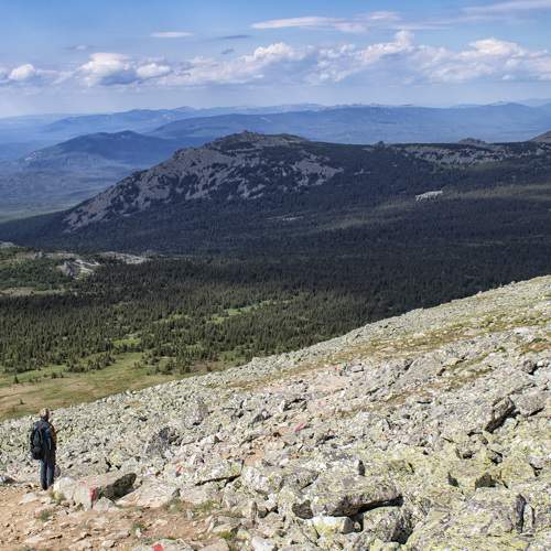 Photo #9354795