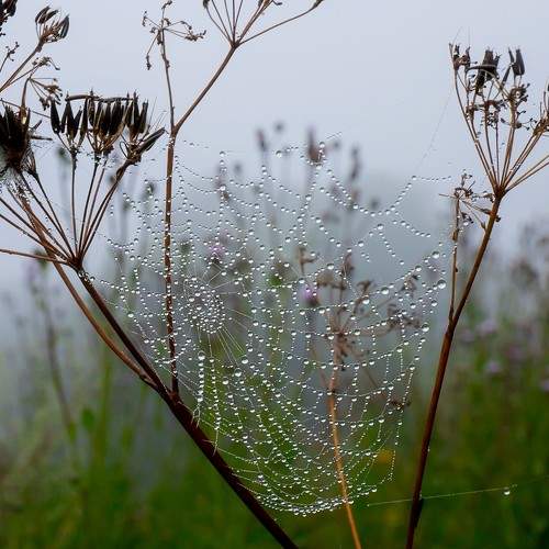 Photo #9354959