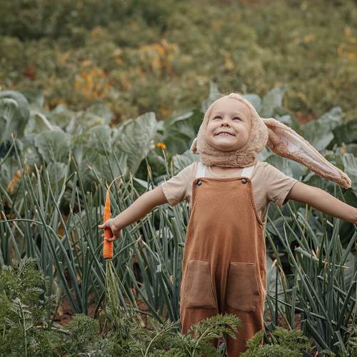 Веселые Зайцы