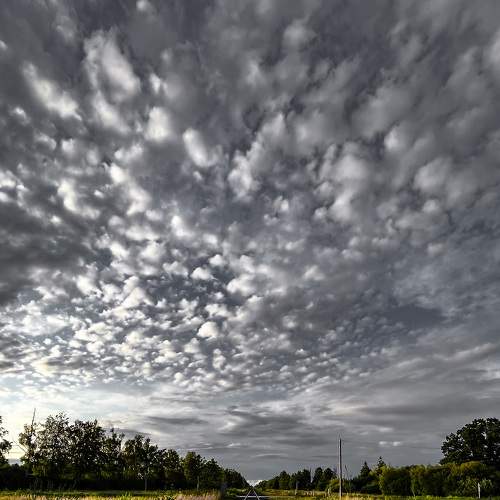 Photo #9355172