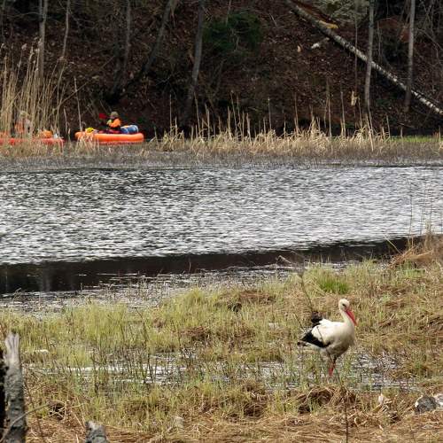 Photo #9355266
