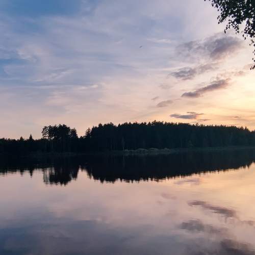 Photo #9355698