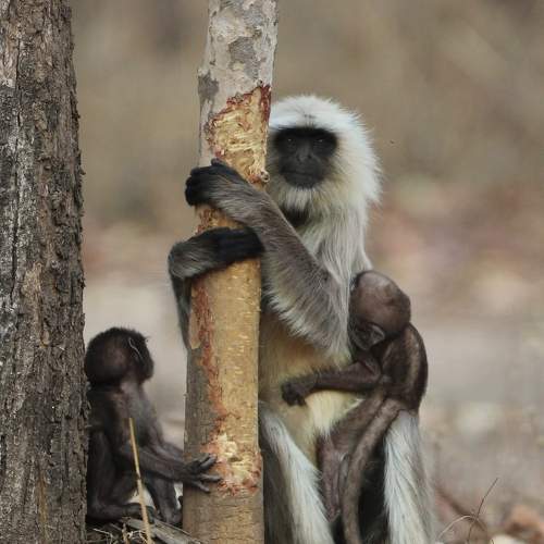 Photo #9355865