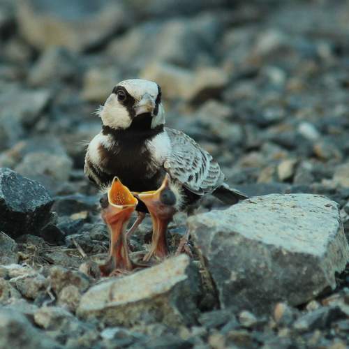Photo #9355894