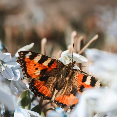 Photo #9356558