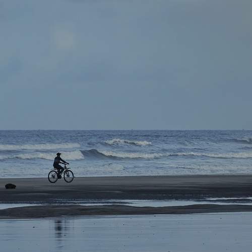 Photo #9356760