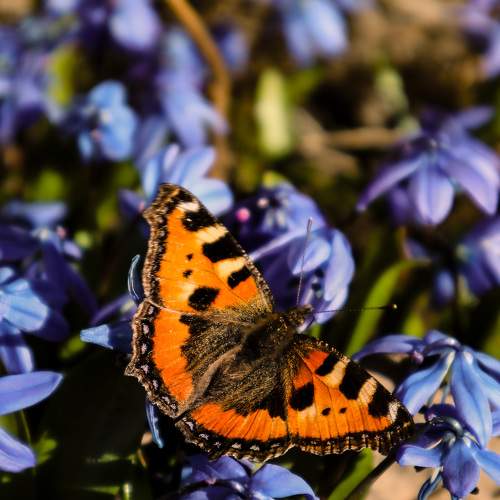 Photo #9356806