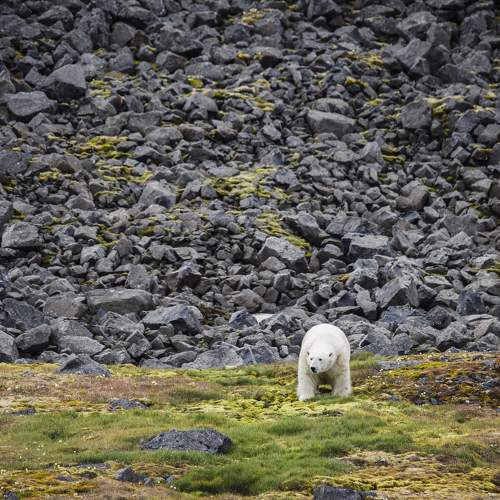 Photo #9356821