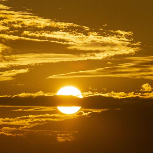 Photo #9357683