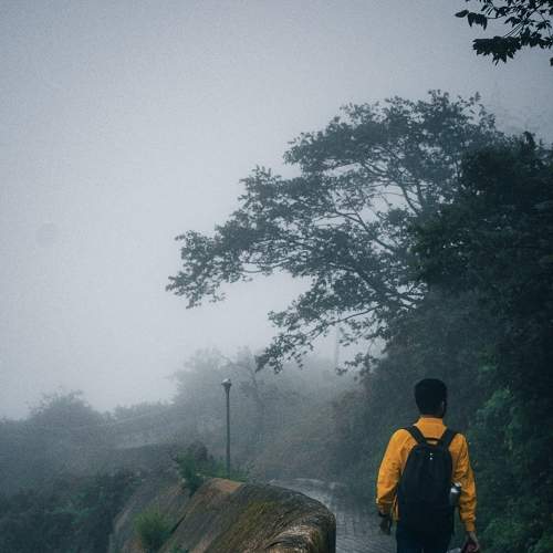 Photo #9357737
