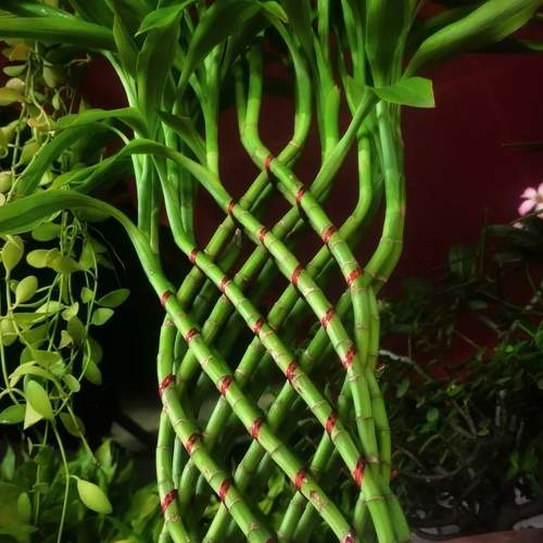 Photo #9357941