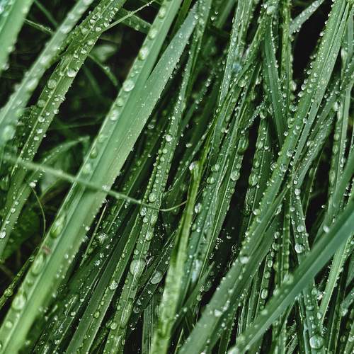 Photo #9358154