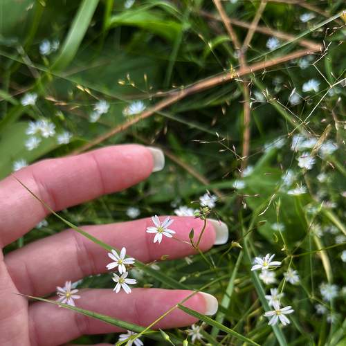 Photo #9358157