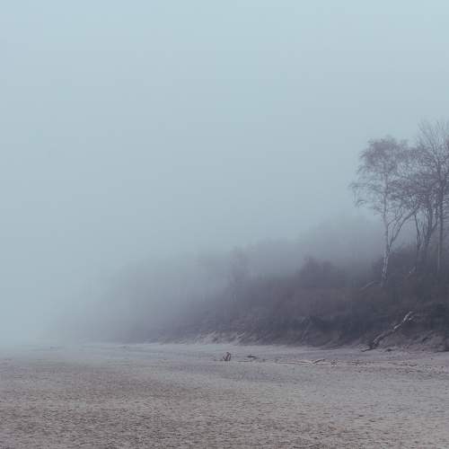 Photo #9358202